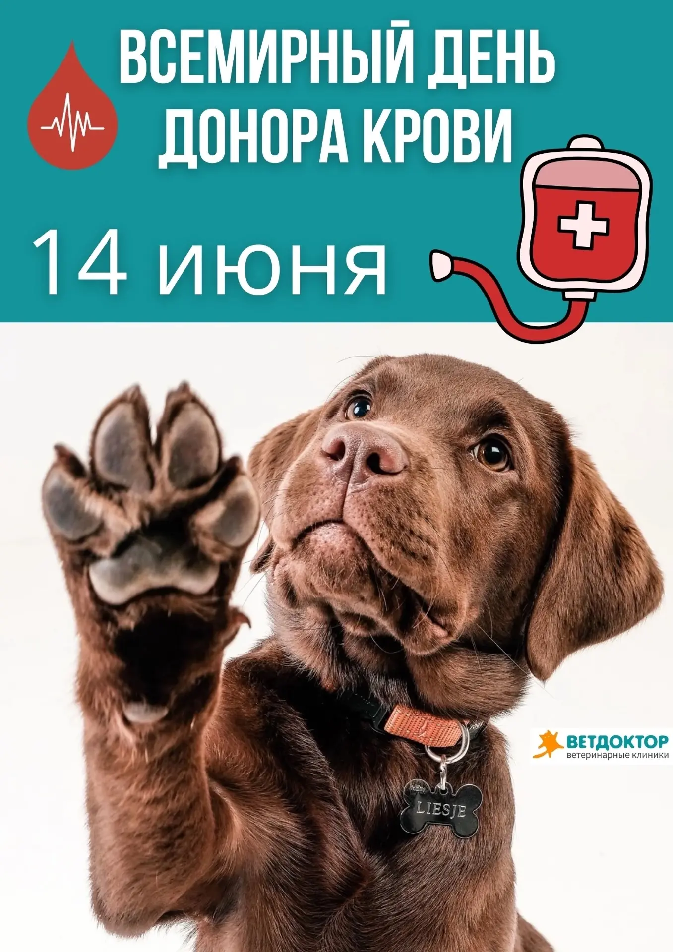 Сегодня 14 июня Всемирный день донора крови. 
 
Хотим выразить восхищение и благодарность всем донор
