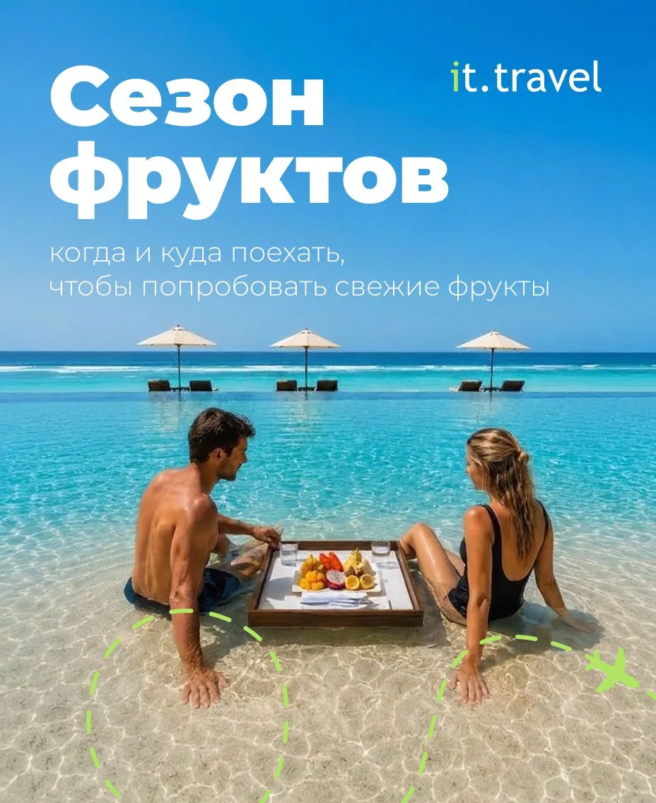 Рассказываем, в какие месяцы на курортах наступает пик сезона для каждого из этих фрукт...