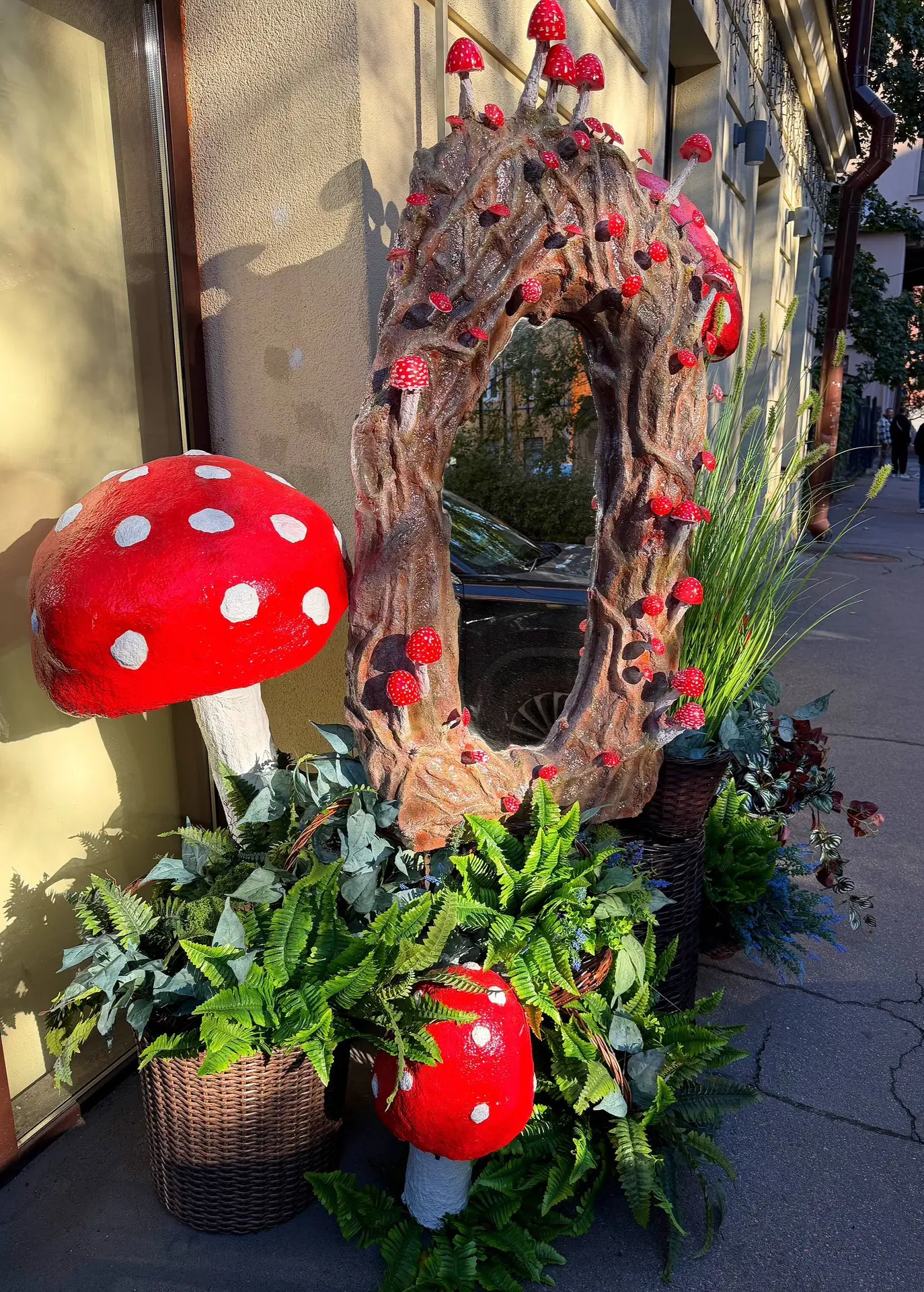 🤩 Грибная полянка на Петроградке!
