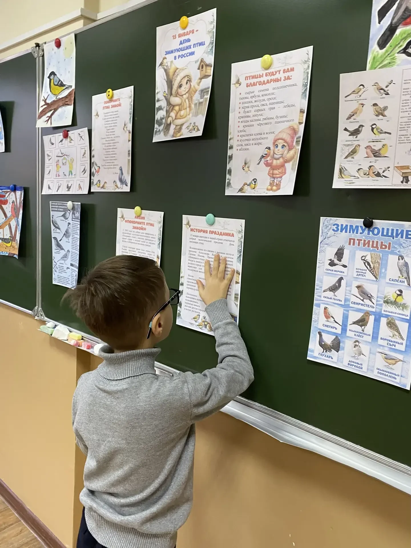 🕊️Ежегодно в нашей стране отмечается добрый экологический праздник - День зимующих птиц! Зимой птицы