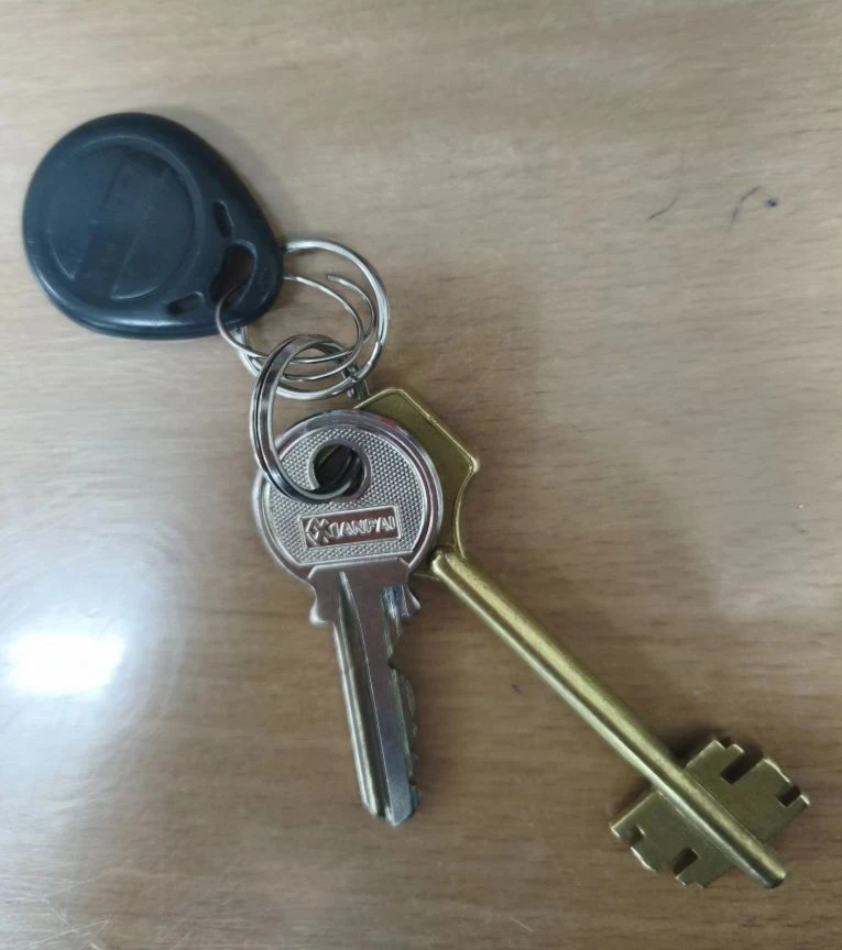 Очередная потеряшка. Хозяин, отзовись😫 Ключи найдены во дворе детского сада.