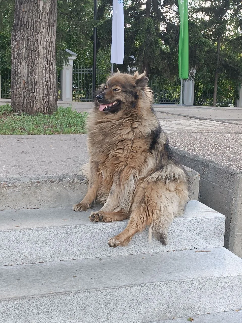 ❣️Полный кайф и умиротворение.