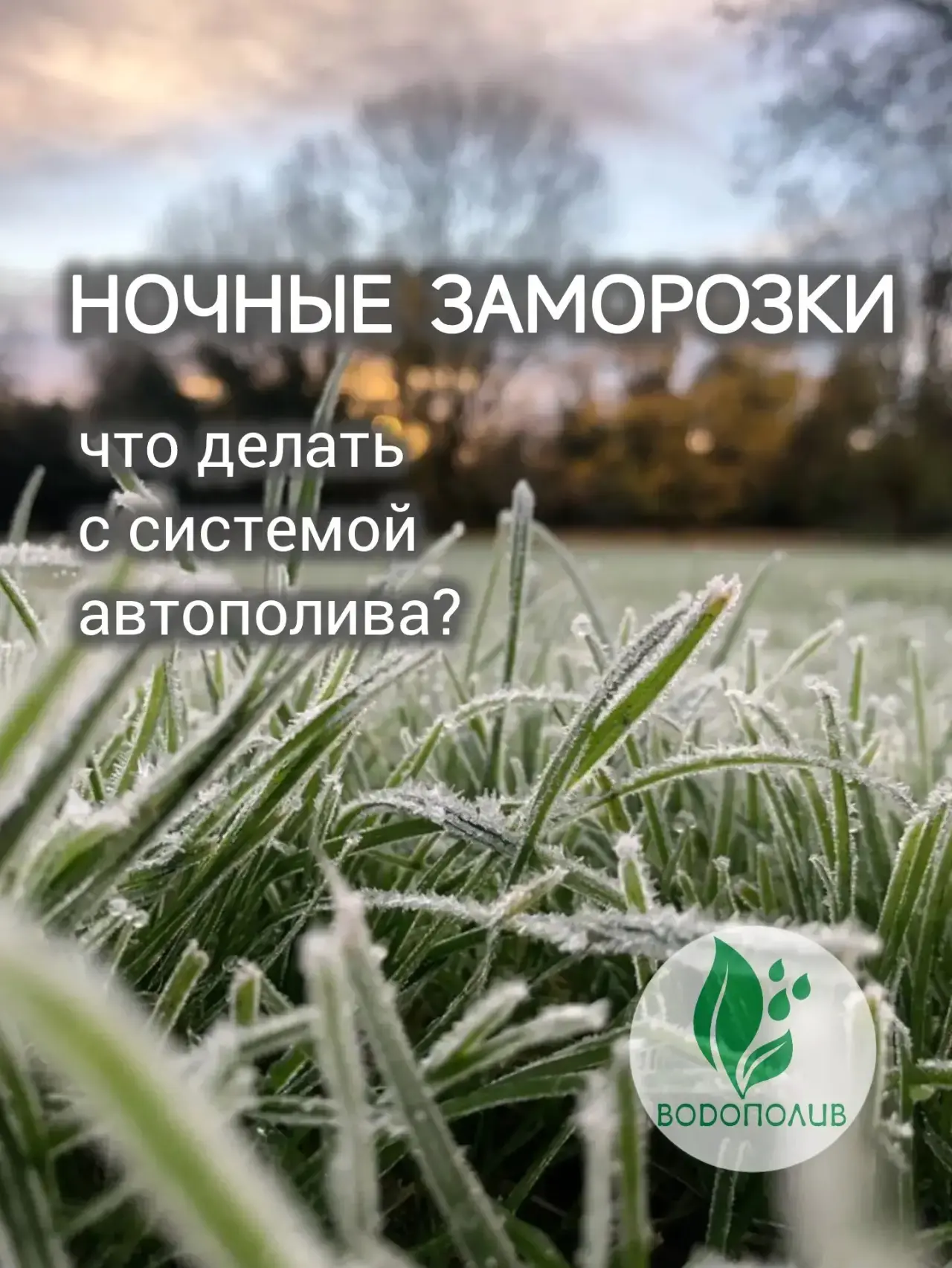 Завтра обещают около 0 °C на почве.