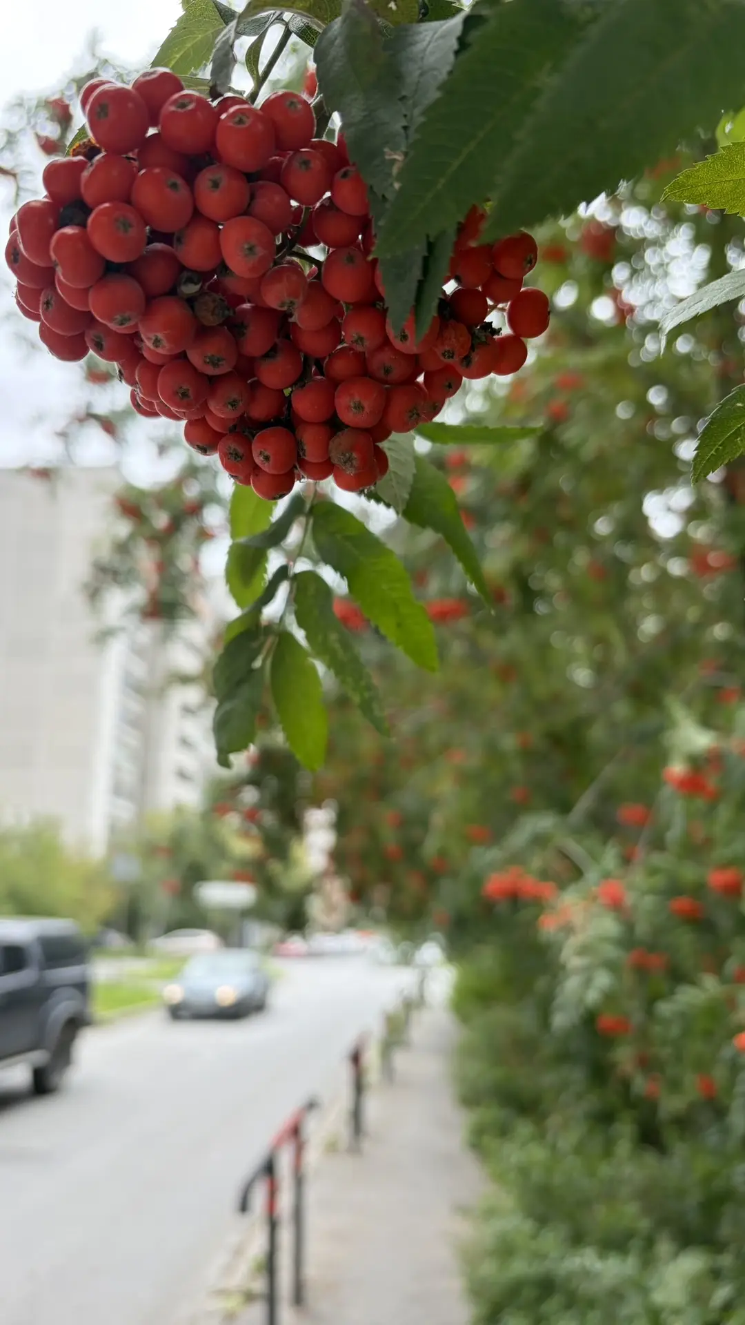 Люблю эту жизнь ❤️