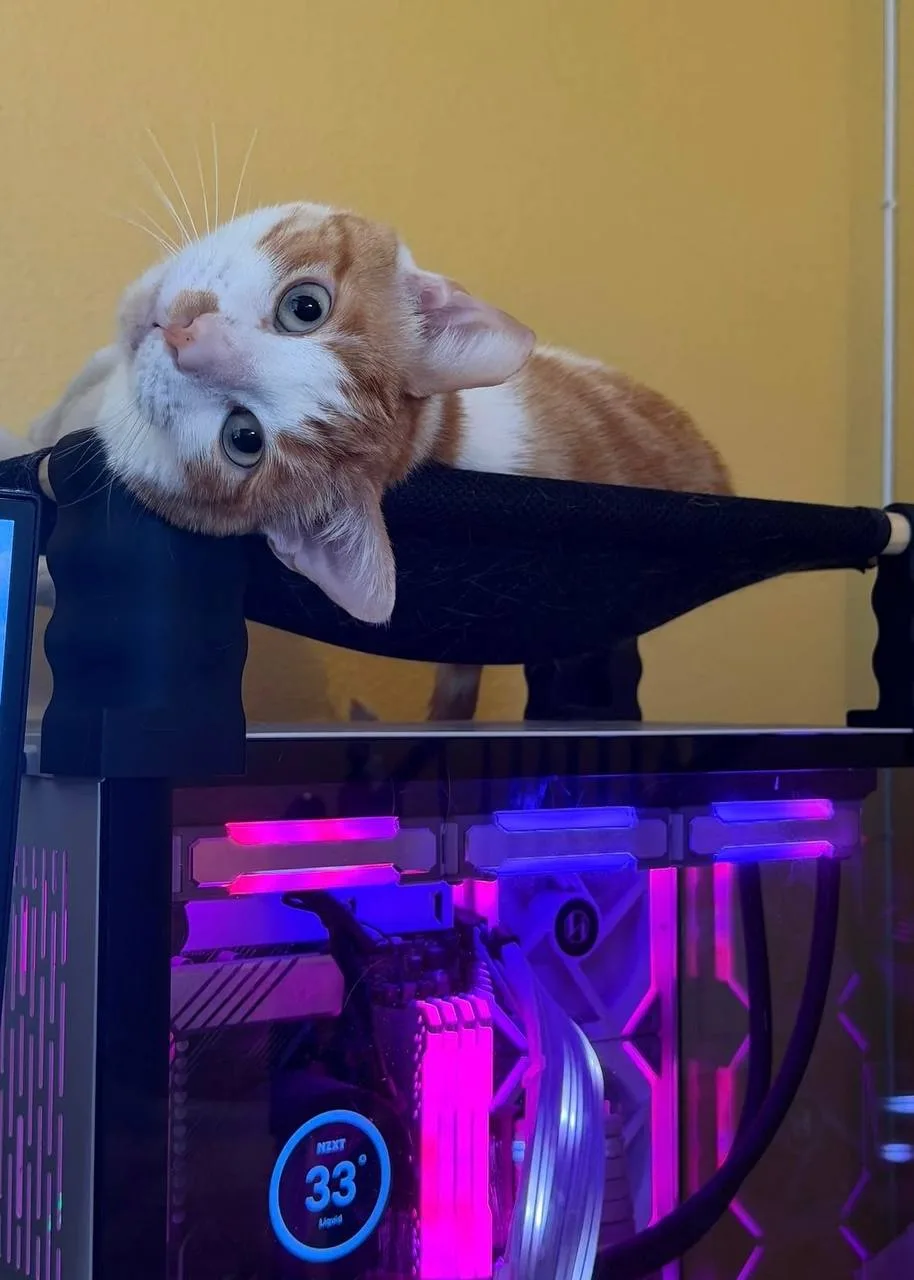 Апгрейд для котика ✨
