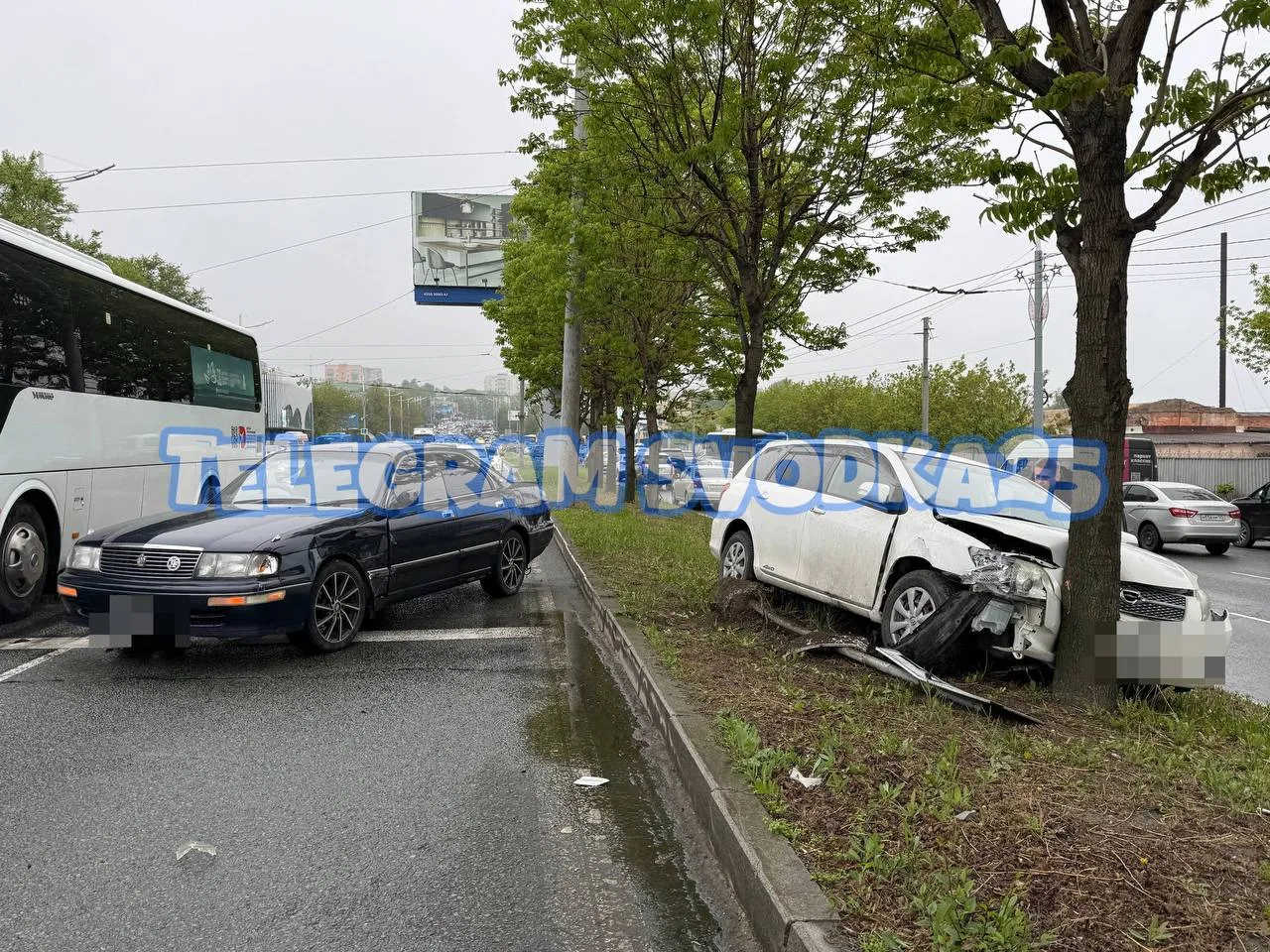 Во Владивостоке на Проспекте Столетия автомобиль вылетел с дороги и врезался в дерево  Со слов водит