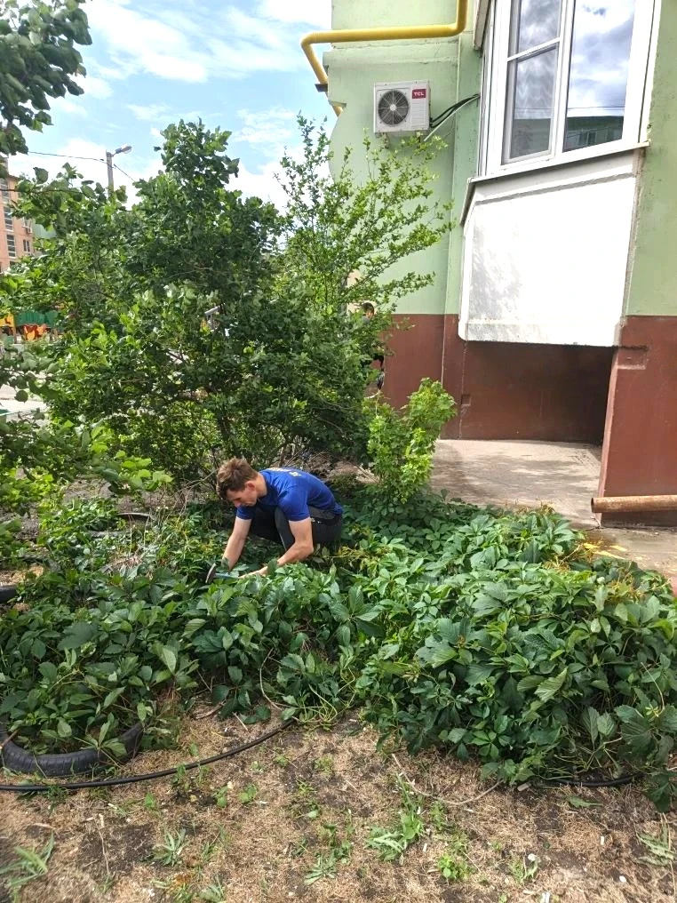 К новости «🌿 Зеленый оазис у дома: монтируем систему автополива!»