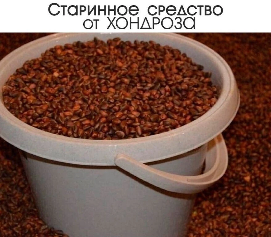 Изображение 1 к публикации «Точка Здоровья»