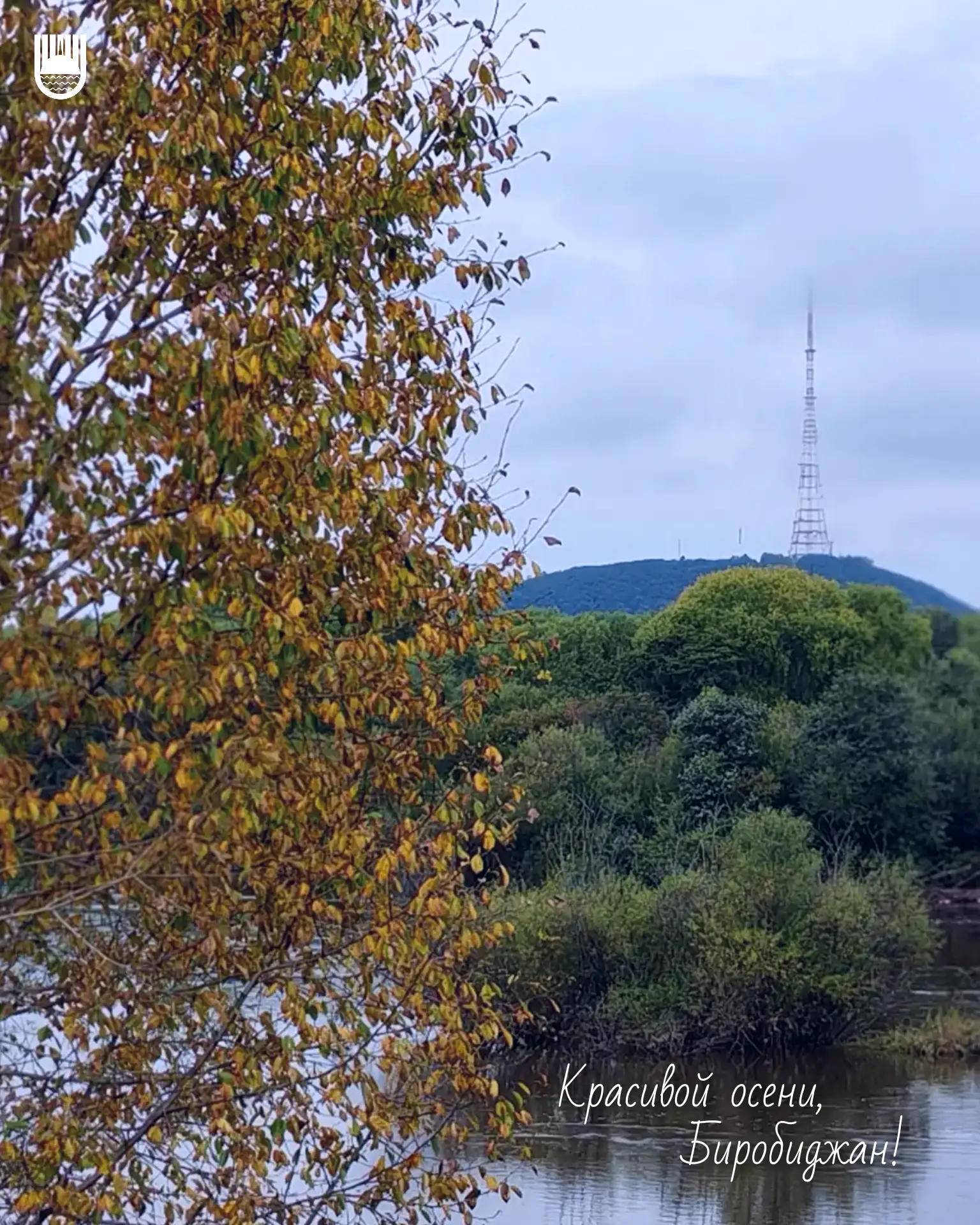 Шалом, Биробиджан! 🍂🍁