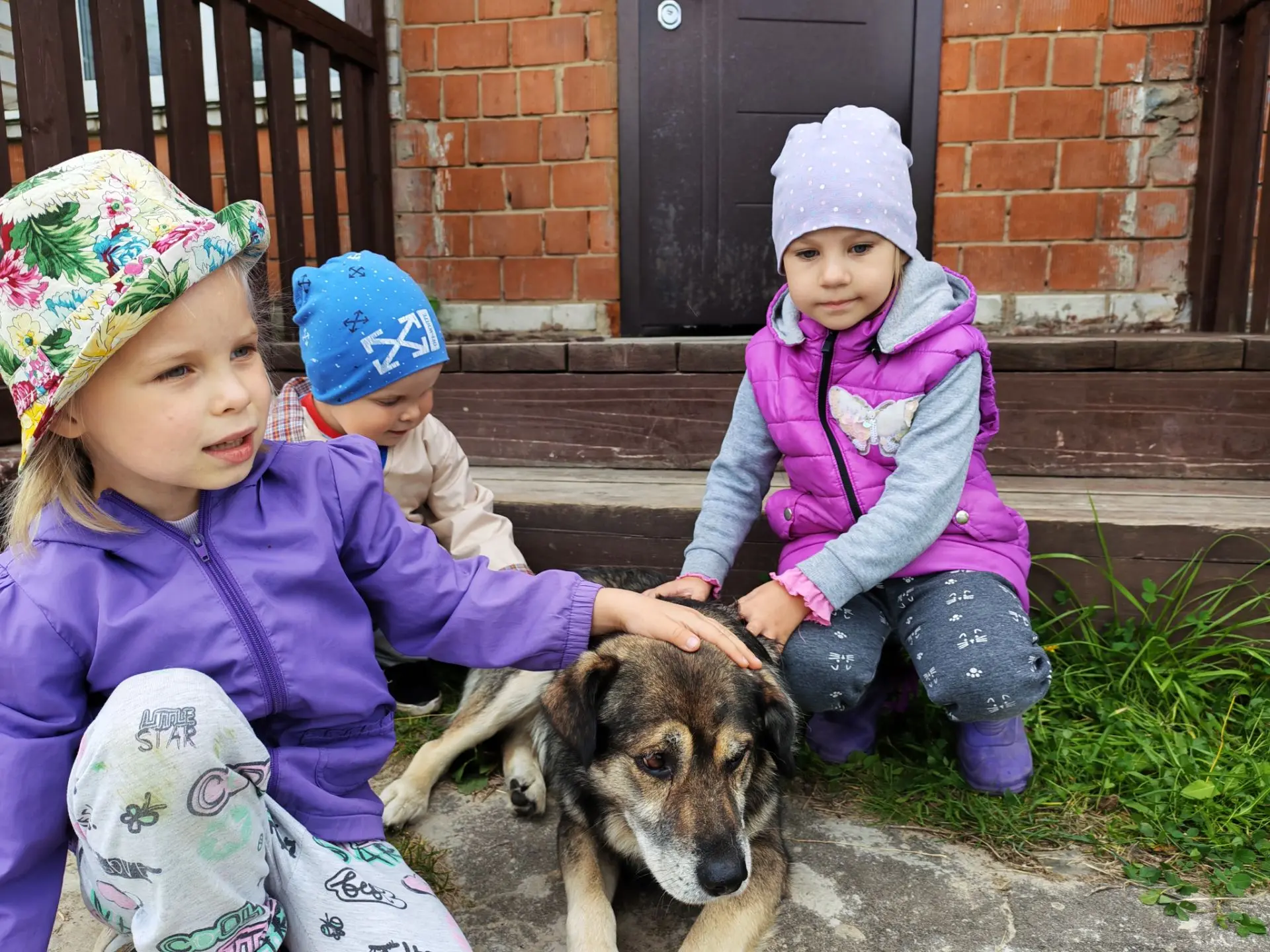 🐶Сегодня к ребятам-дошколятам на прогулку пришёл всеми любимый пёс по имени Рекс🐕.Дет...