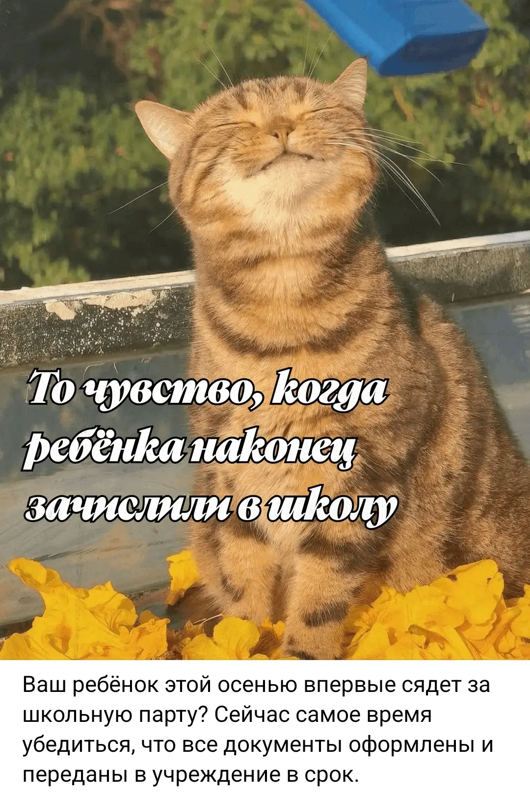 https://vk.ru/wall-200736428_68178