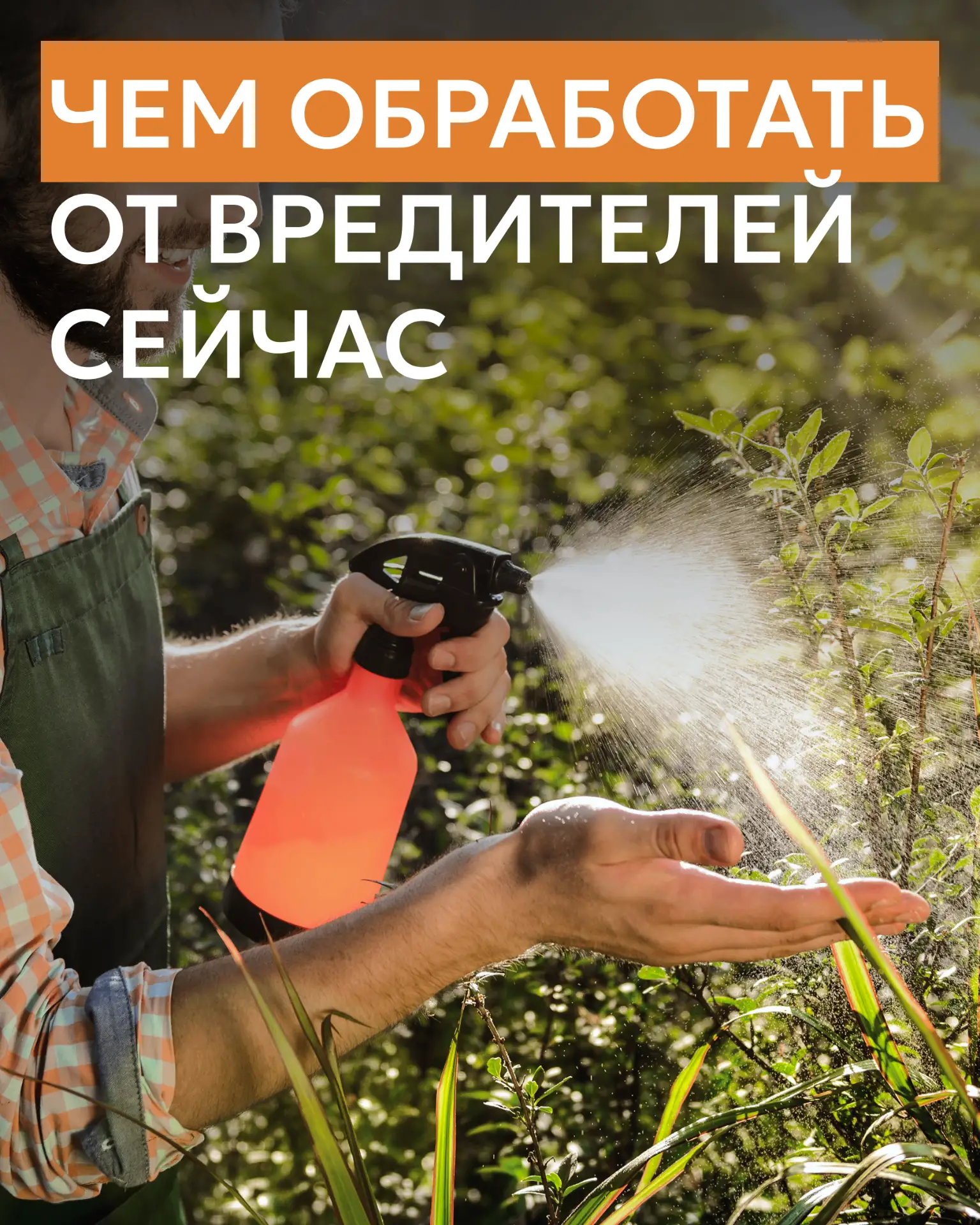 Чем обработать растения от вредителей уже сейчас? 🌿Июнь — время активного роста растений. Но не тол