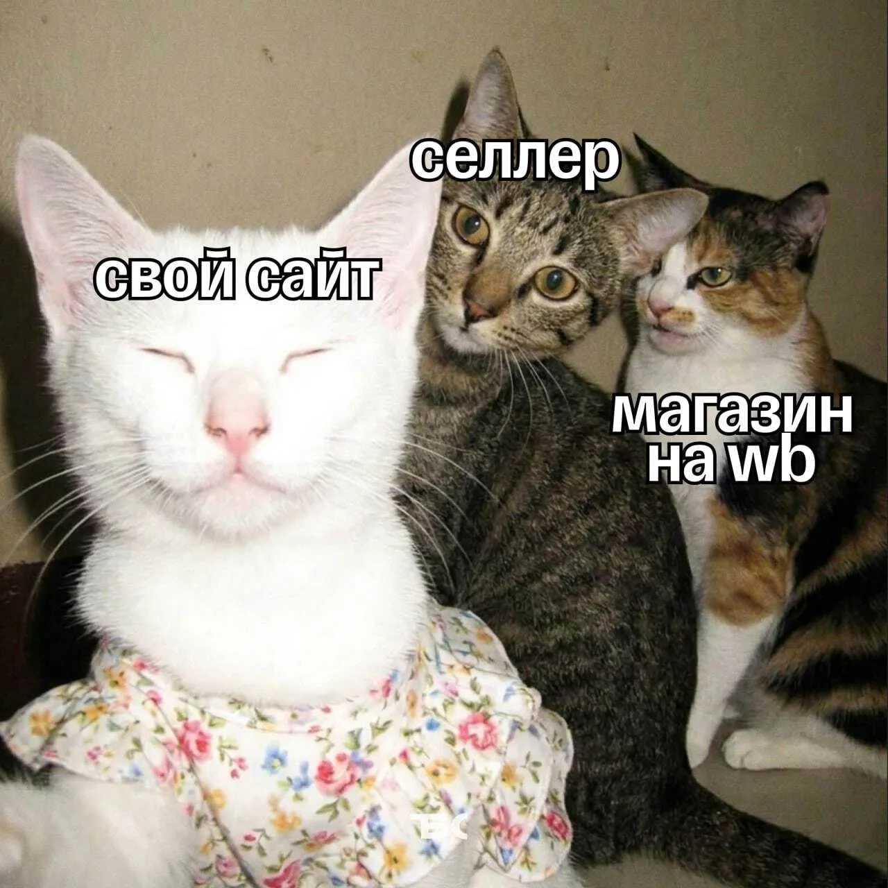 После всех событий только это и остается…