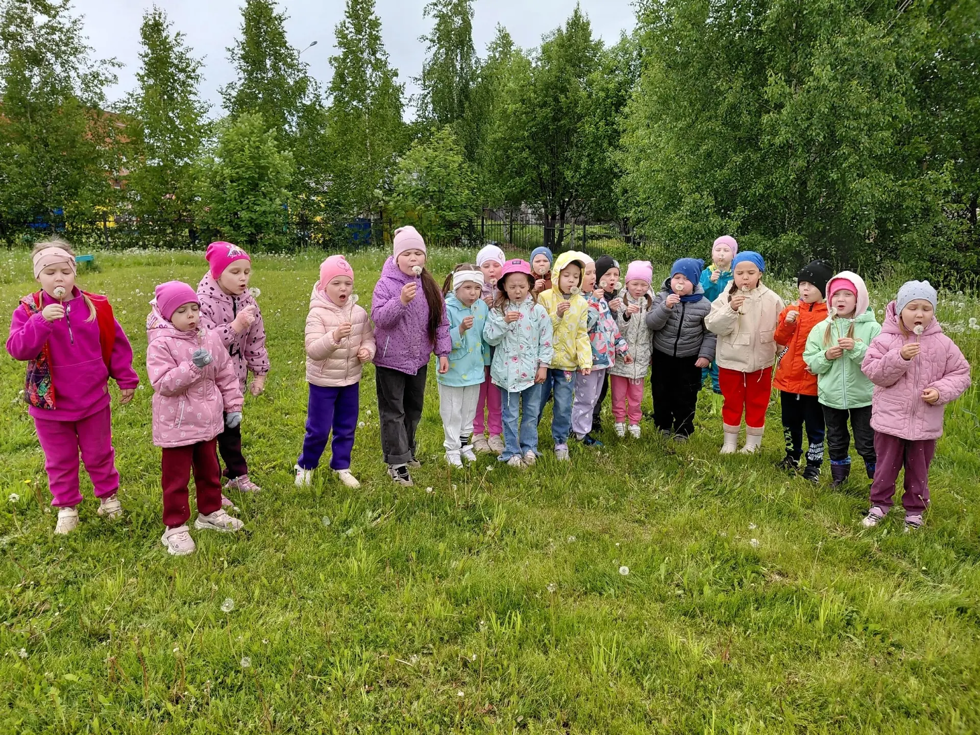 🌿 Неделя природы в нашем детском саду! 🌿