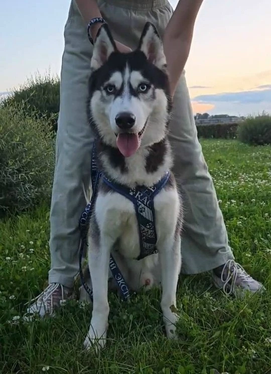 #Казань