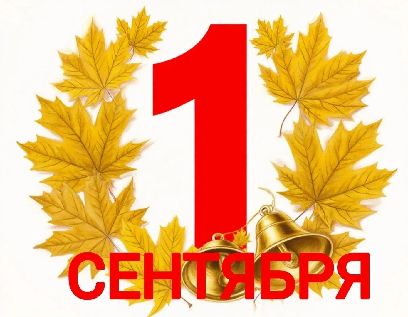 Важная информация о праздновании 1 Сентября! 🎓