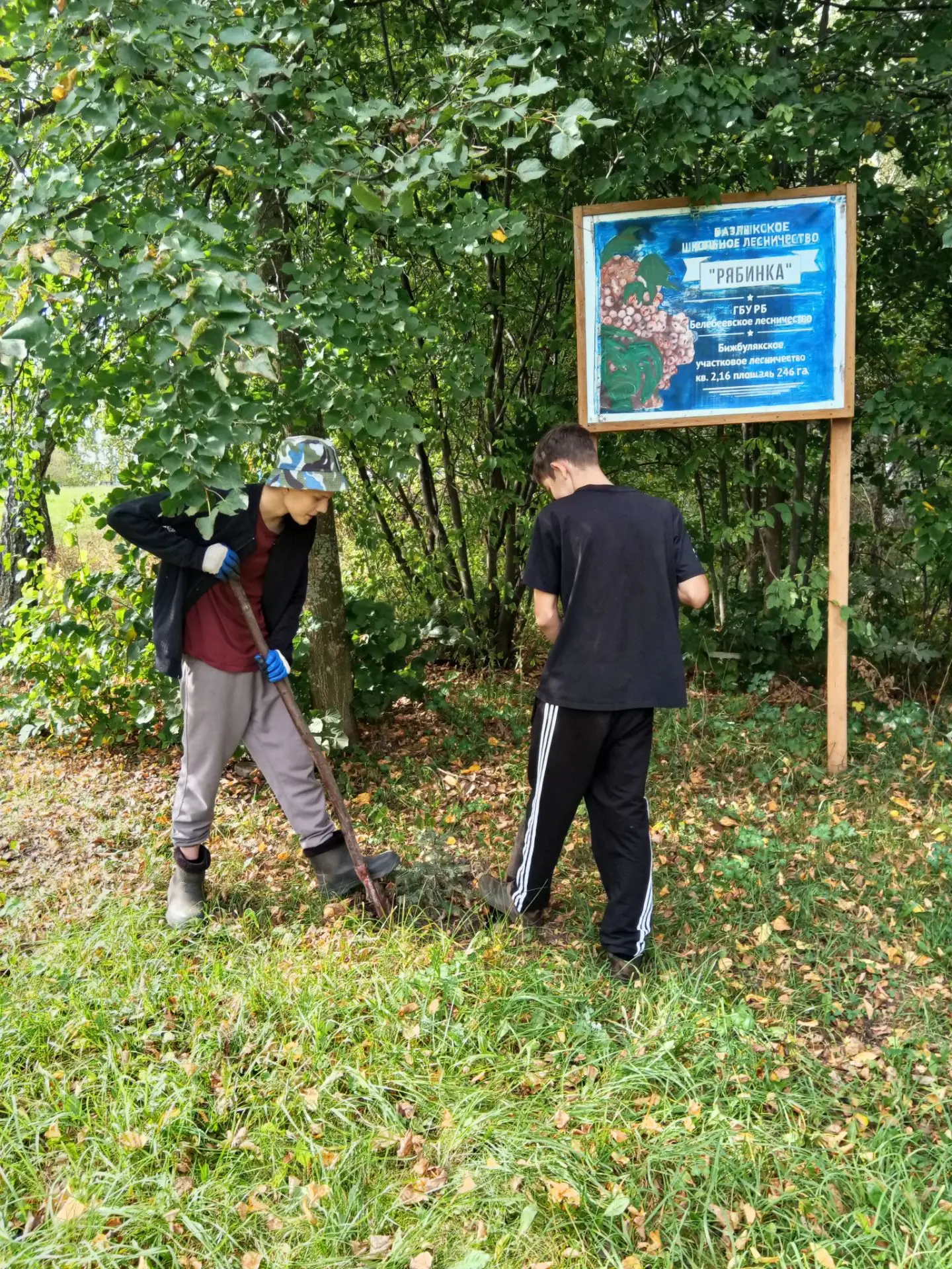 🍁Осень — время заботы о природе! 🍁