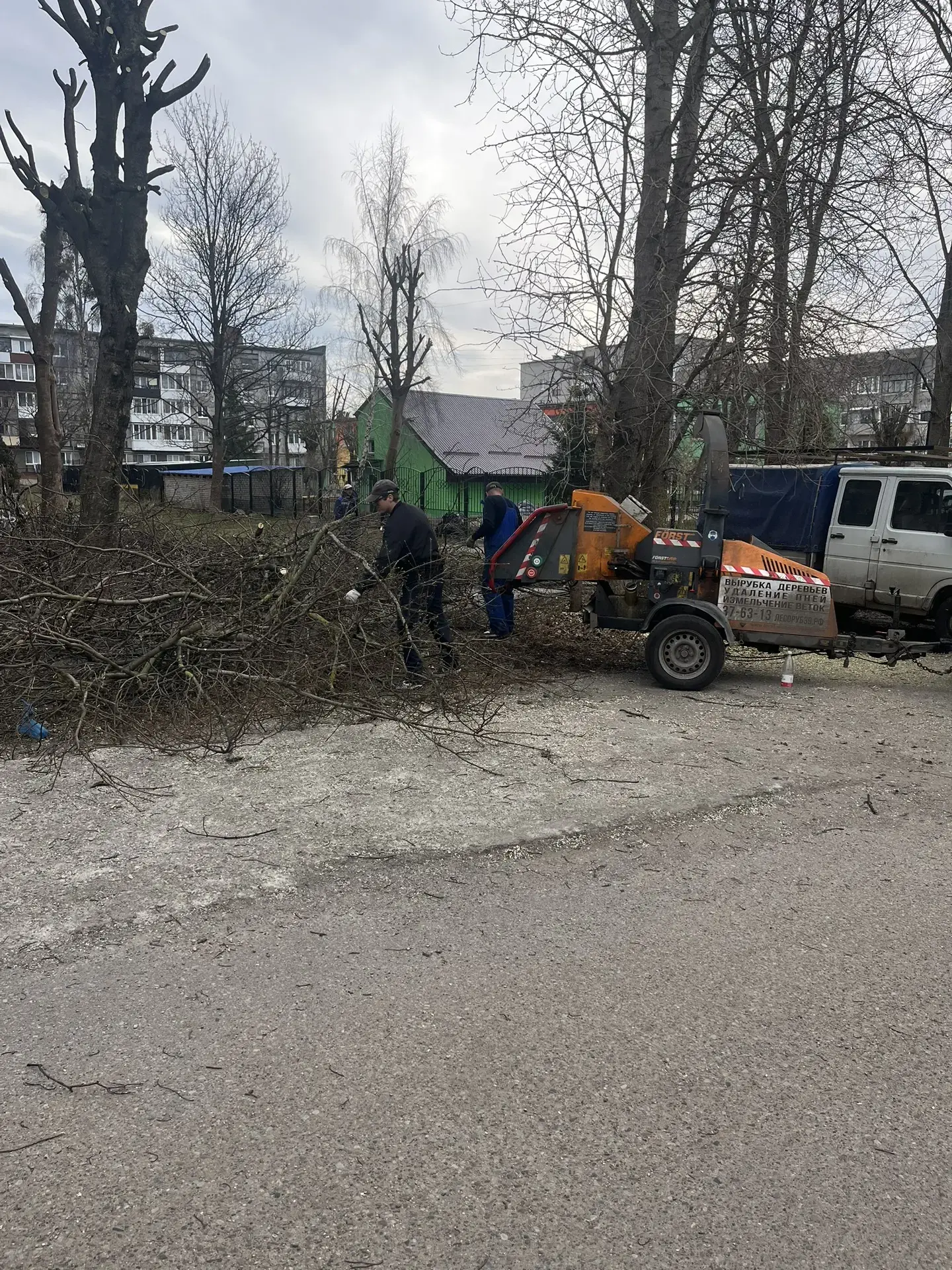 Управляющей компанией "Меридиан", в рамках весенних работ, проведена формовочная обрезк...