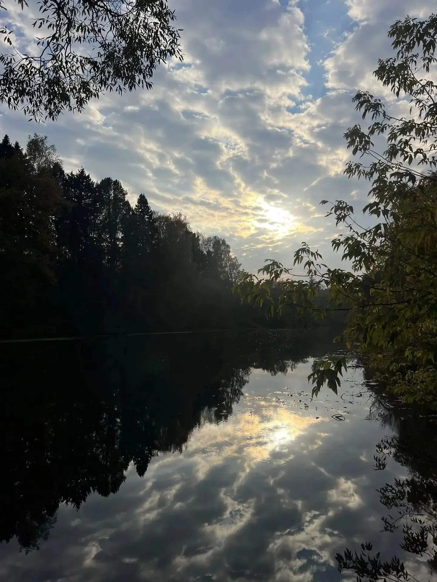 Доброе утро, Жирновский район! 🌲
