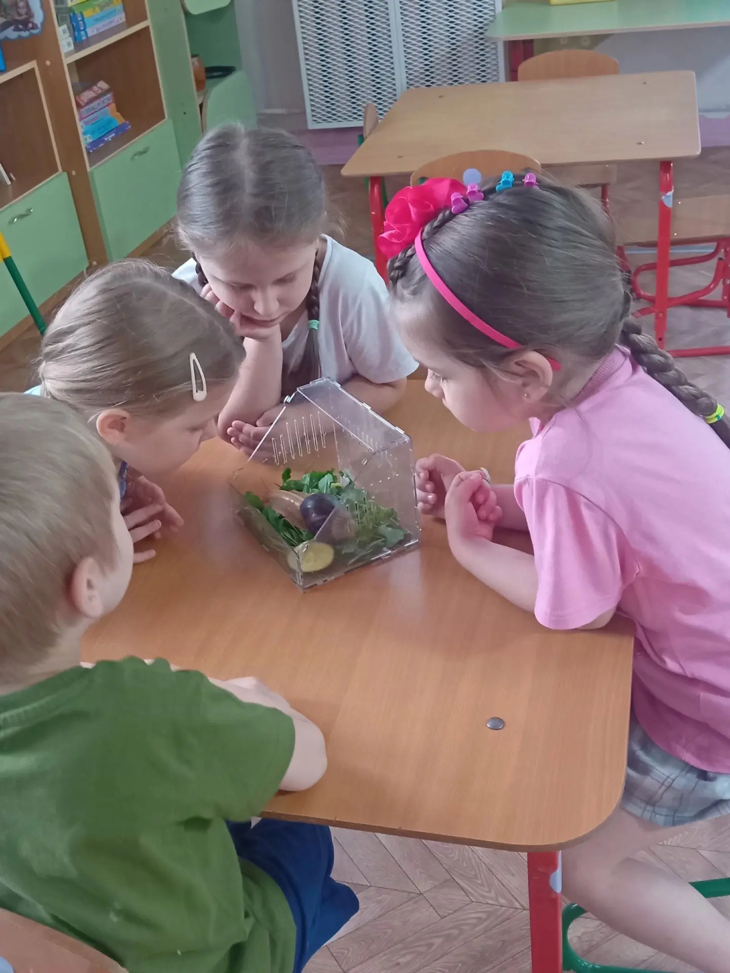 #МБДОУДС27СПТополек