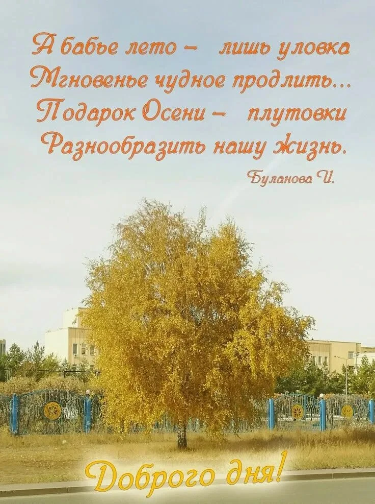 Лето напоследок: почему оно всё-таки «бабье»?