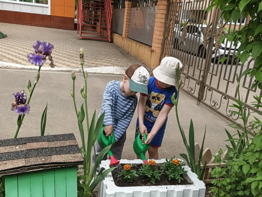 Посадили саженцы, саженцы цветочков!