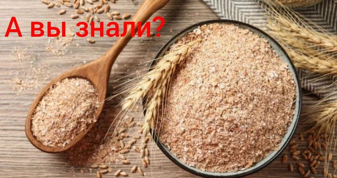 КОМУ ПОЛЕЗНЫ ОТРУБИ? 🤔