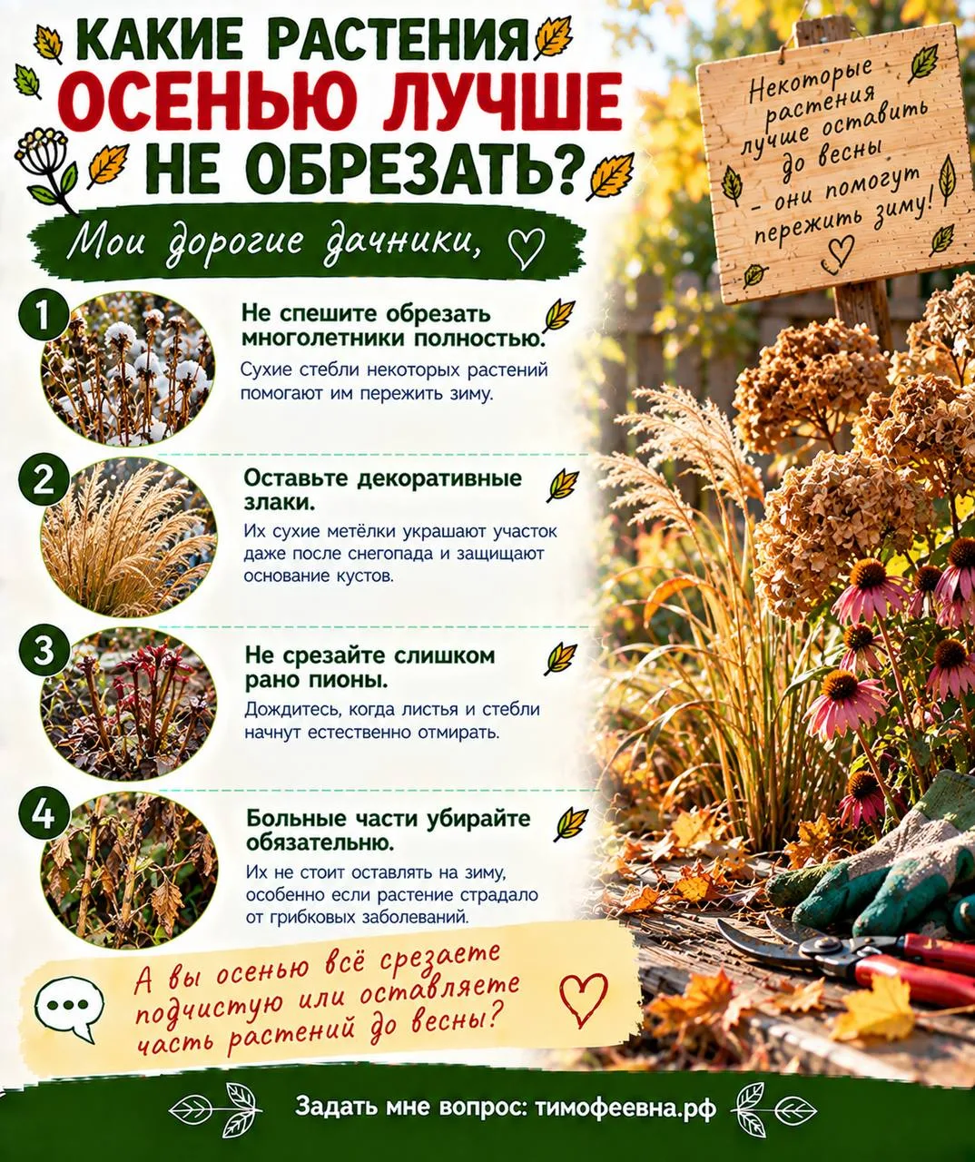 🍂 Какие растения осенью лучше не обрезать?