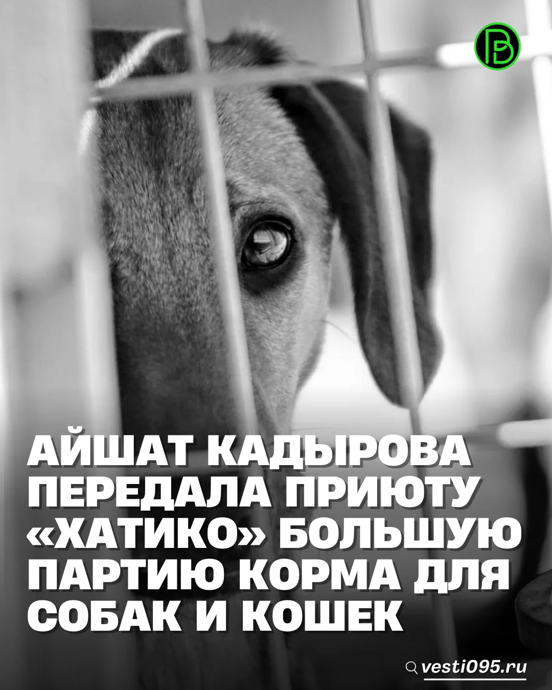 ⚡️⚡️⚡️Предприниматель, общественный деятель, внучка Первого Президента Чеченской Респуб...