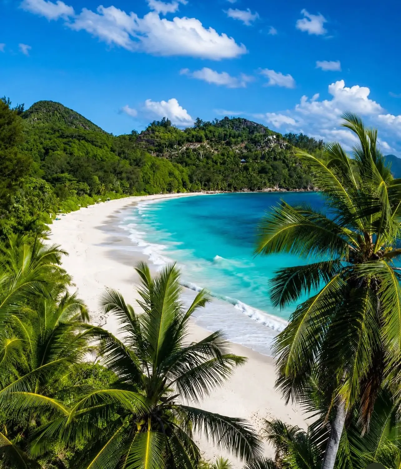 😎СУПЕР СОЧНЫЕ СЕЙШЕЛЫ 🏝️и великолепный пляж , а так же хороший отель с обновленными н...