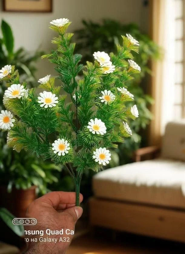 🌿🌿 Ромашки 🌿🌿