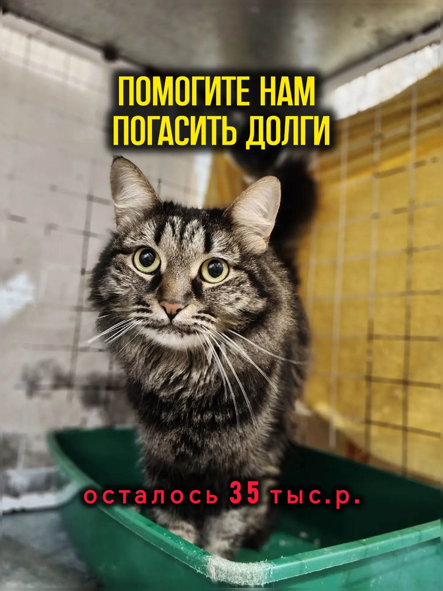 За сегодня нужно собрать 35 тыс.р.