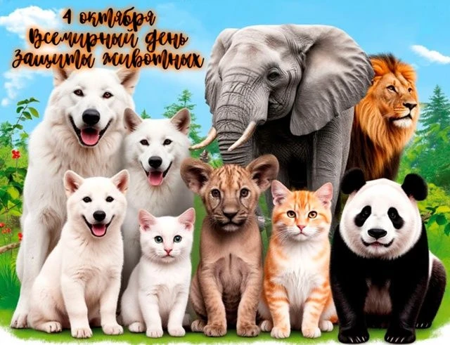 🐾 ПОСМОТРИ НА МИР ИХ ГЛАЗАМИ: ПРАЗДНИК, КОТОРЫЙ ДЕЛАЕТ НАС ЛУЧШЕ! 🌍