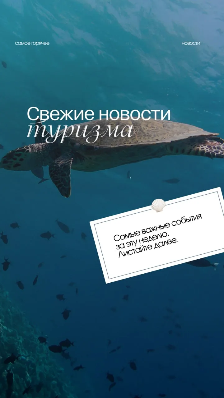 Самые свежие новости из мира туризма ✨