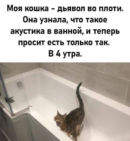 Я девочка, мне можно!