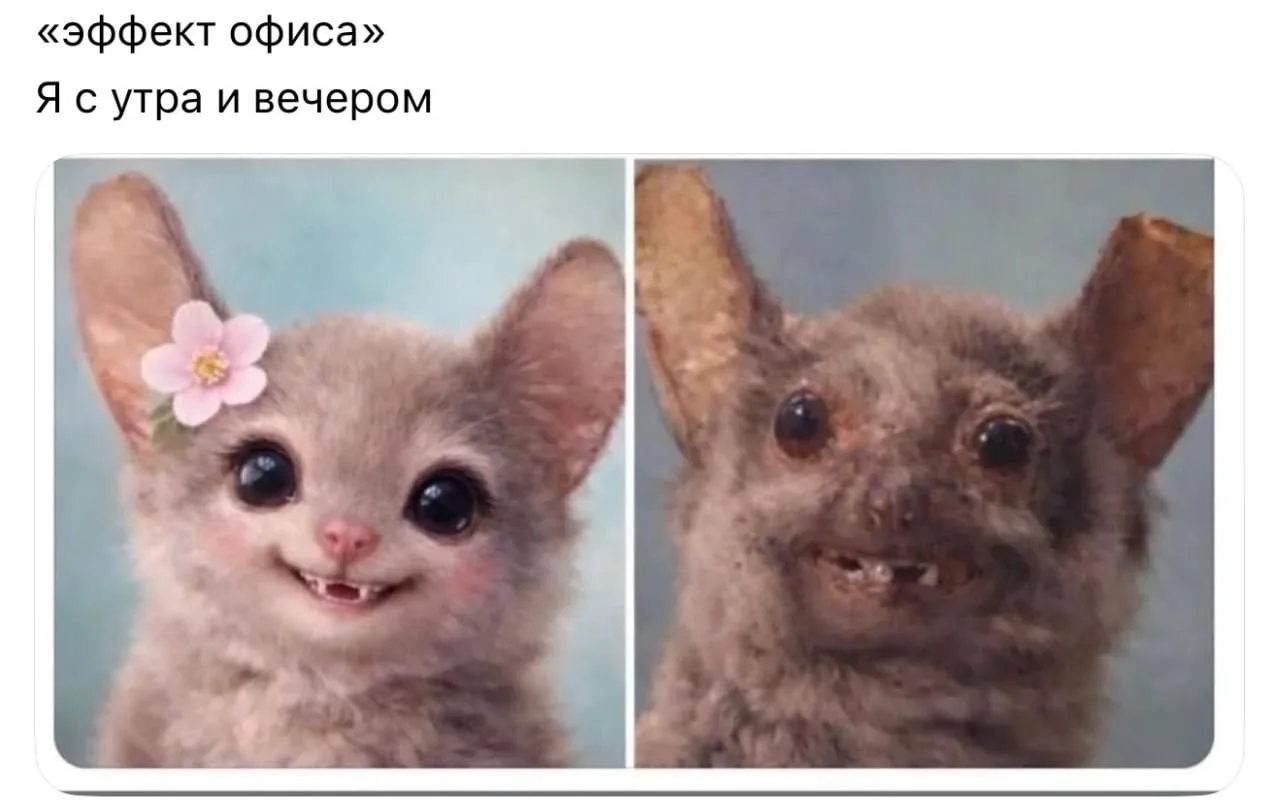 Я бы сказала, «эффект марта» 🥹