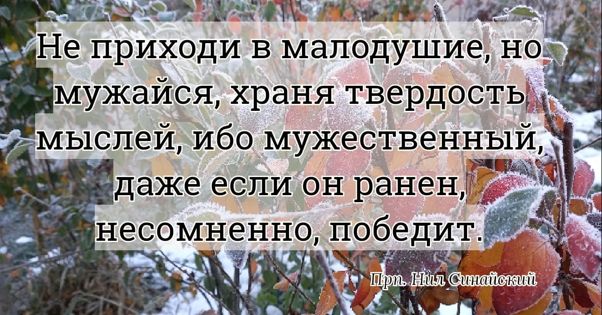 МУЖЕСТВО