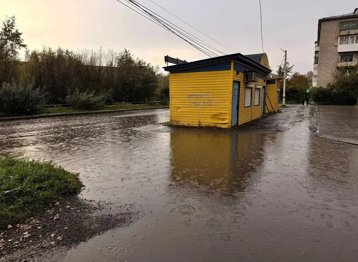 Жительница города обратилась в администрацию с просьбой принять меры из-за регулярного ...