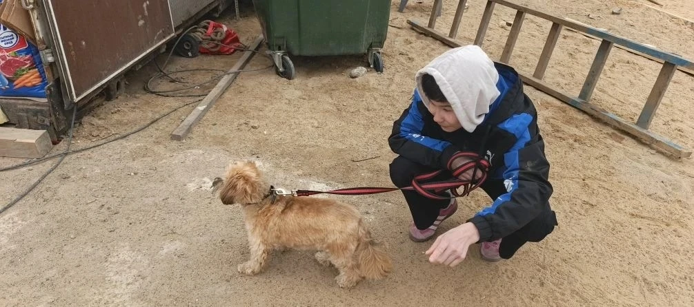 🐕Наши ребята вместе с воспитателями навестили собачек из приюта «Хелп Дог Мини» — это стало настоящ