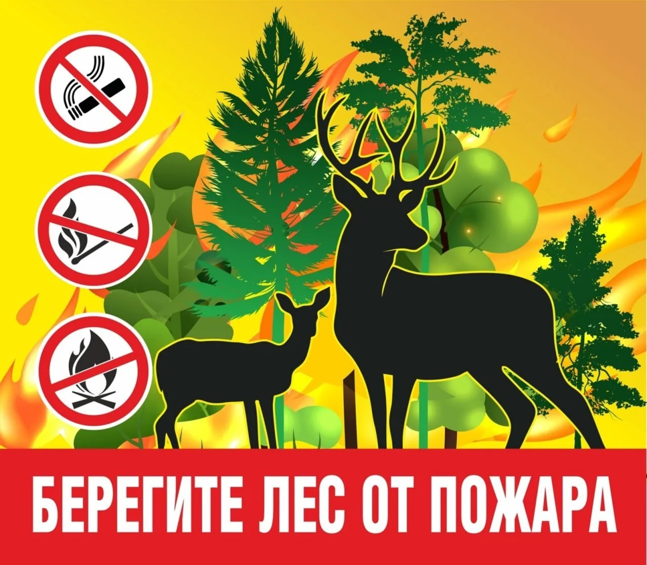 Неосторожное обращение с огнём — одна из основных причин лесных пожаров. Чтобы избежать...