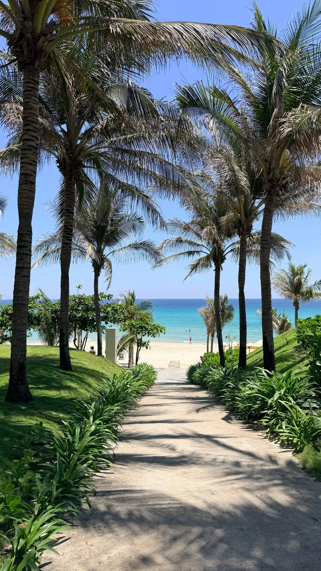 😍ВЫ ЭТО ВИДЕЛИ!?😍ГОРЯТ ТУРЫ 🇻🇳ВЬЕТНАМ, 🇹🇭ТАИЛАНД, 🇪🇬ЕГИПЕТ  ШАРМ-ЭЛЬ-ШЕЙХ ИЗ ПЕТРОПАВЛОВСКА ⚡️Sharm 