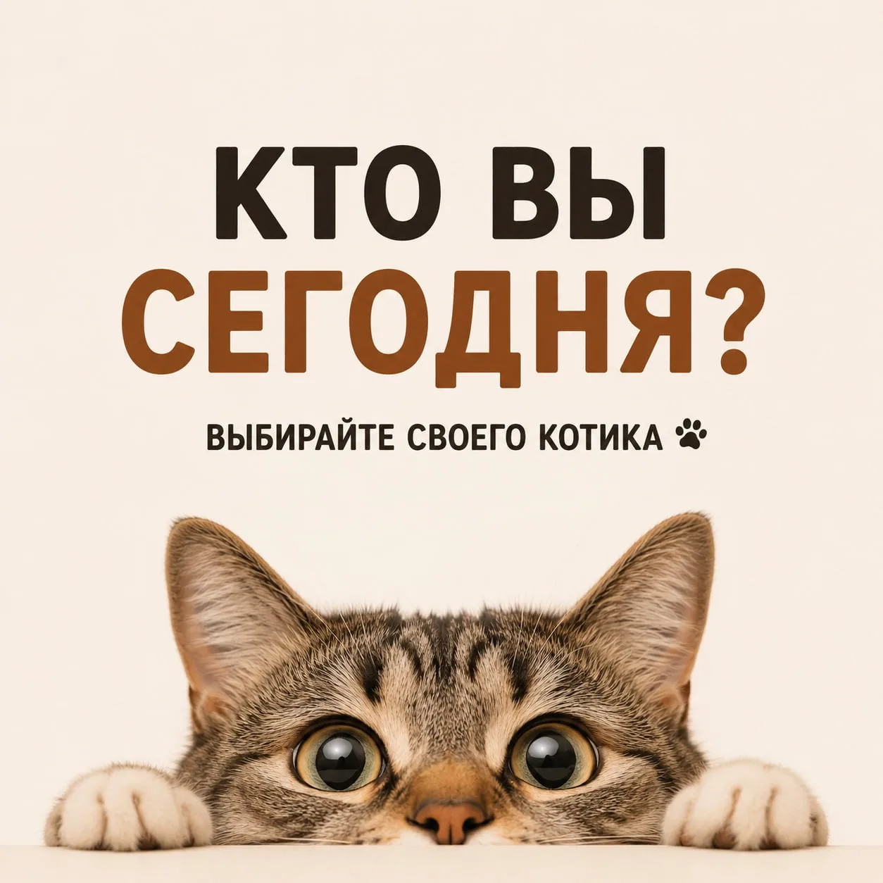 Ну что, какой котик сегодня вы? 😁