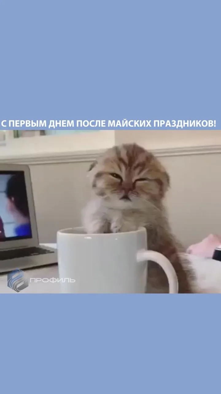 Как прошли ваши выходные?