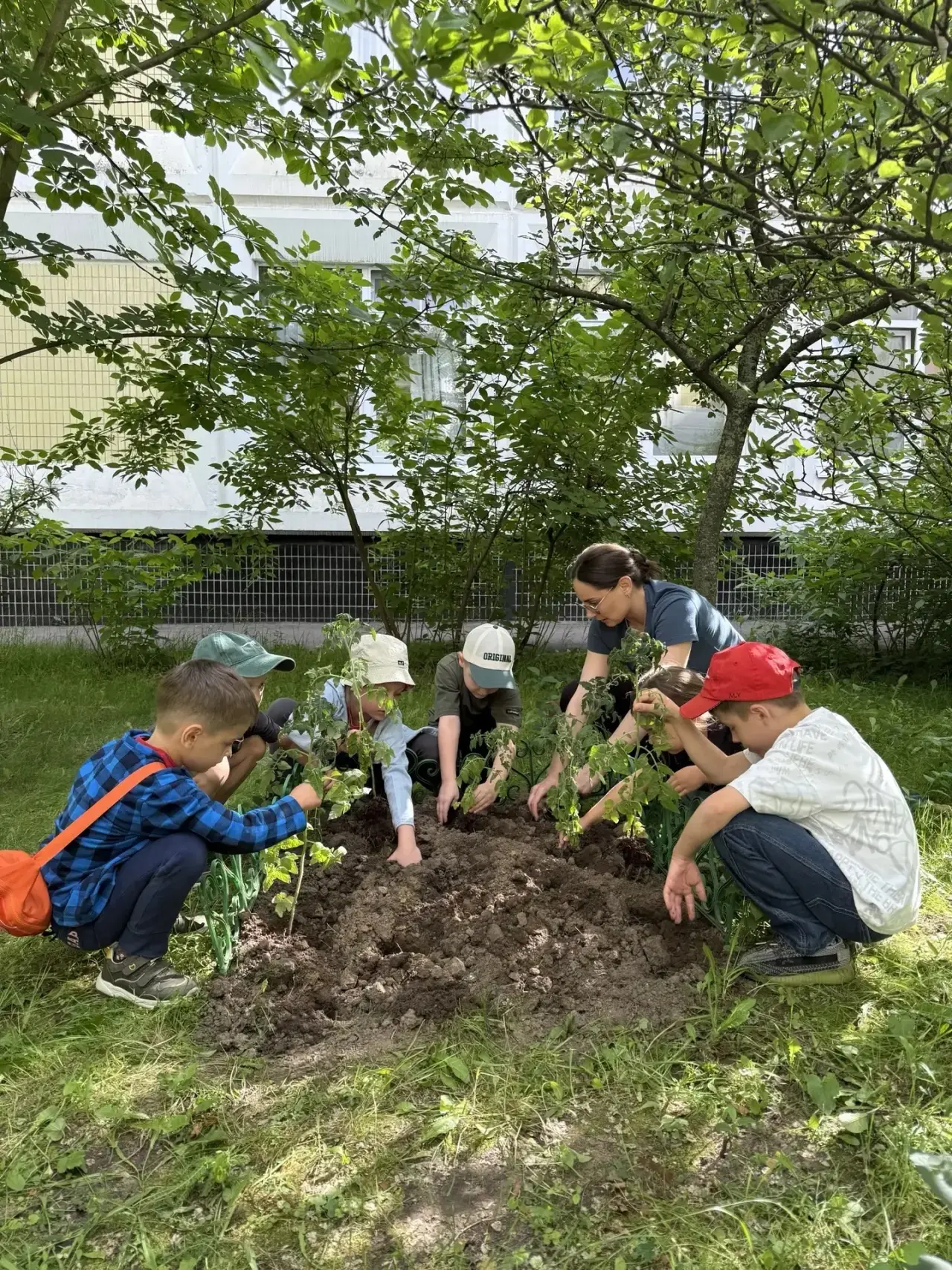 🌱 НАШ ЗЕЛЁНЫЙ ОГОРОД

Ровно месяц назад ребята из 5 группы высадили рассаду помидоров. Кустики уже 