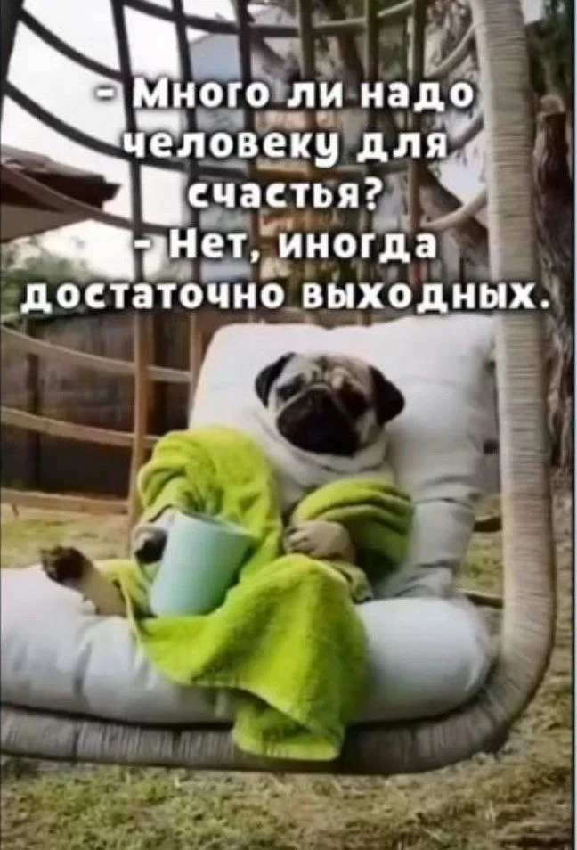 И не поспоришь!