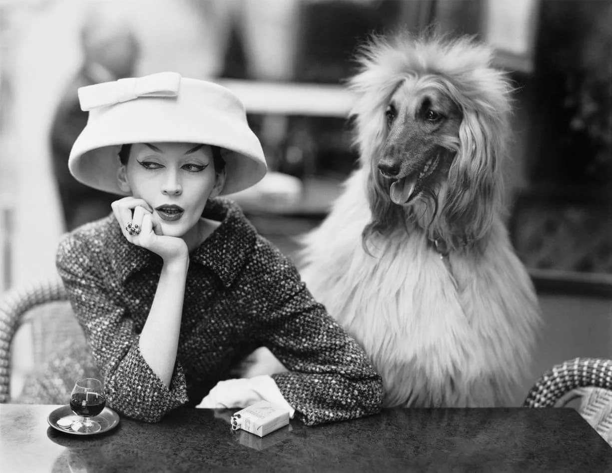 Модель Довима в кафе Les Deux Magots в Париже, 1955 год