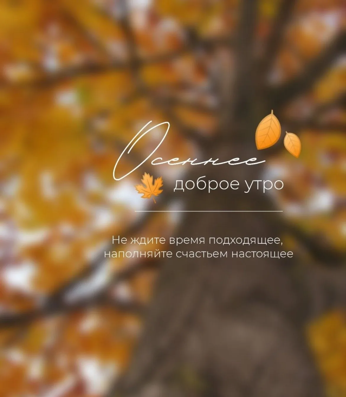📍Рубрика: День с НГПУ