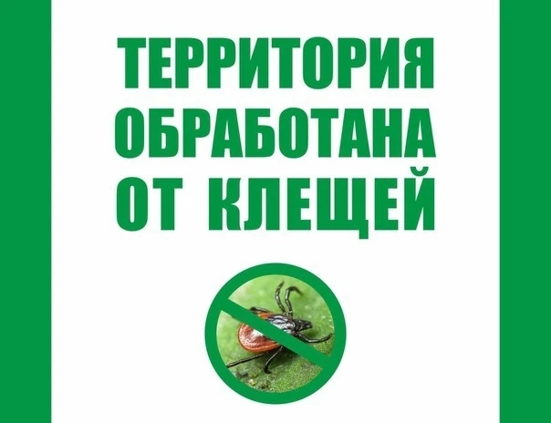 В детском саду, 1 мая 2026 года, была проведена акарицидная (противоклещевая) обработка...