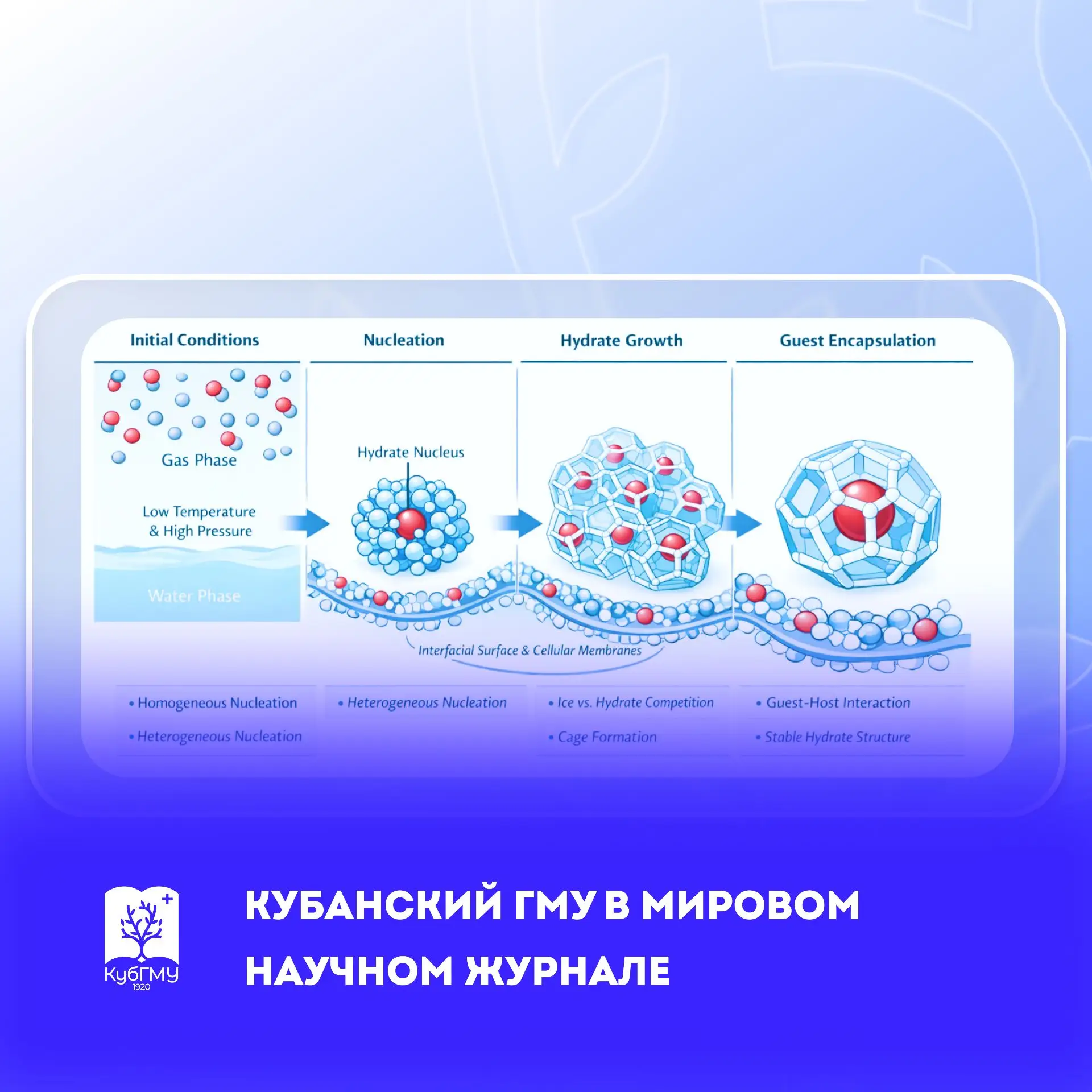 🔬 🌍 Научная работа КубГМУ опубликована в одном из лучших журналов мира

Исследователи Кубанского м