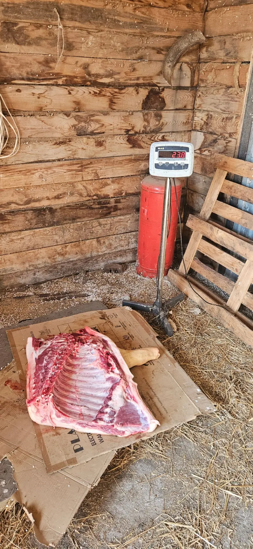 Добрый день. Принимаю заказы на домашнее мясо хрюшки. Продажа частями. 420р.кг.